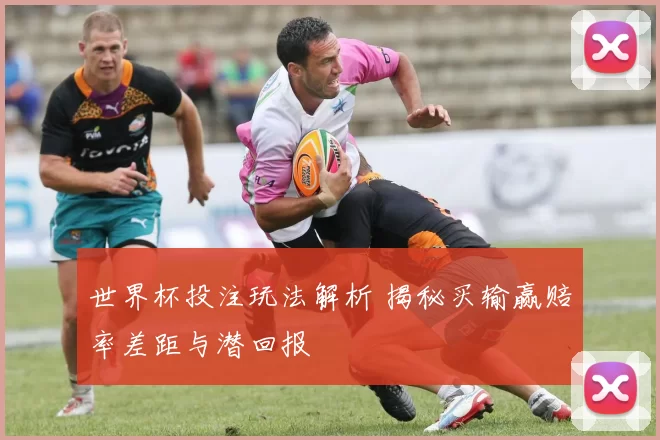 世界杯投注玩法解析 揭秘买输赢赔率差距与潜回报