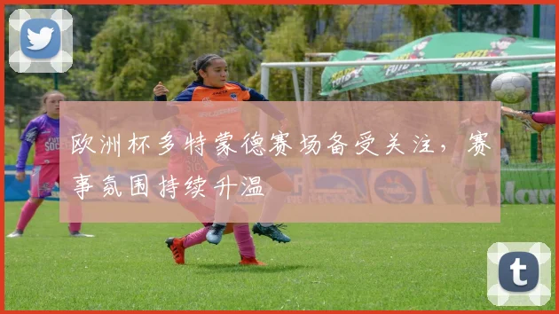 欧洲杯多特蒙德赛场备受关注,赛事氛围持续升温