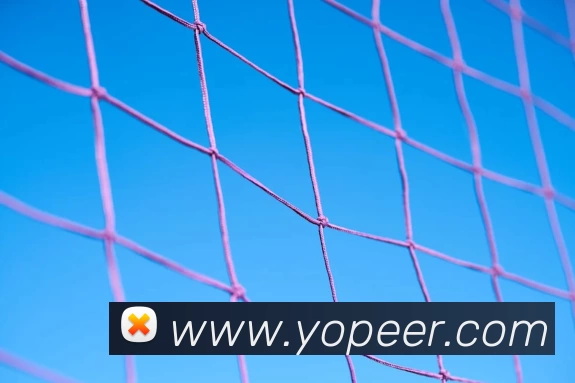 云开手机版·(中国)官方网站 - 登录入口平台生态图